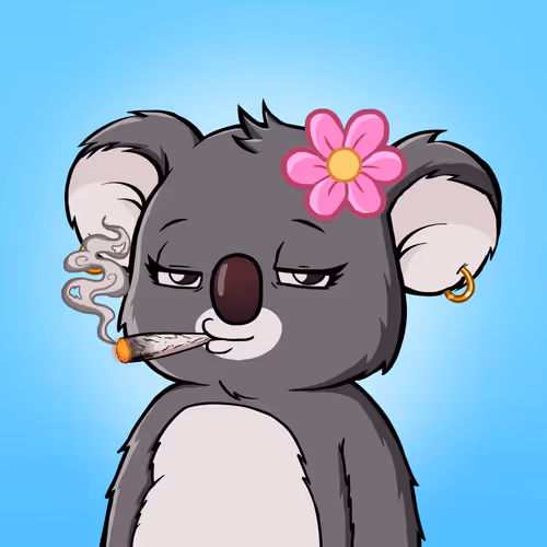 Koala Agent #2973