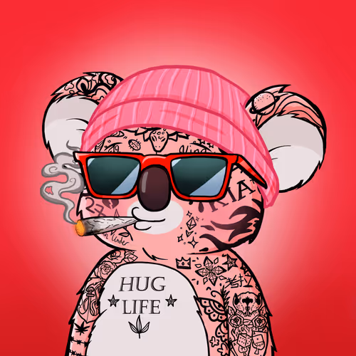 Koala Agent #2461