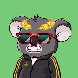 Koala Agent #3017