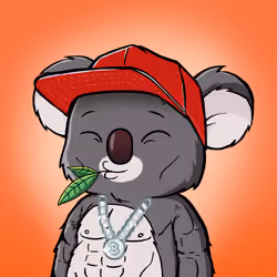 Koala Agent #5770