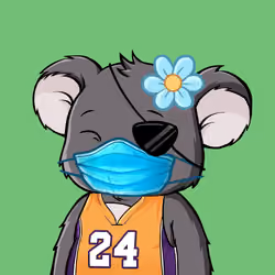 Koala Agent #6445