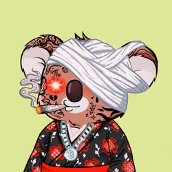 Koala Agent #6067