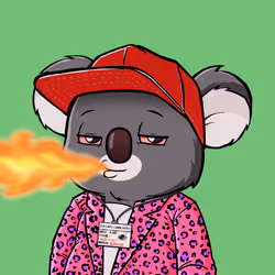 Koala Agent #75