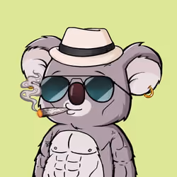 Koala Agent #3697