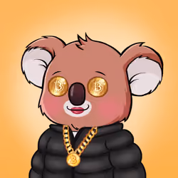 Koala Agent #3585