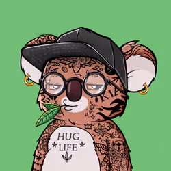 Koala Agent #4370