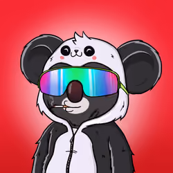 Koala Agent #5472