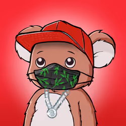 Koala Agent #7333