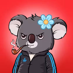 Koala Agent #29