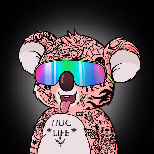 Koala Intelligence Agency