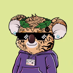 Koala Agent #491