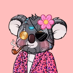 Koala Agent #2671