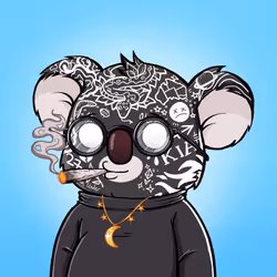 Koala Agent #7442