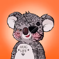 Koala Agent #9964