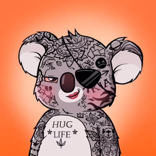 Koala Agent #9964