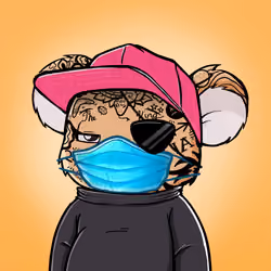 Koala Agent #4648