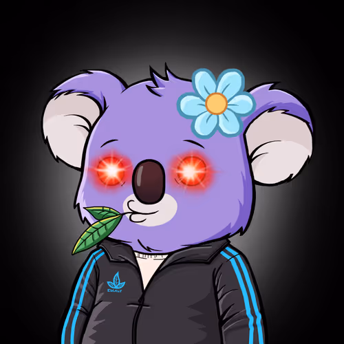 Koala Intelligence Agency