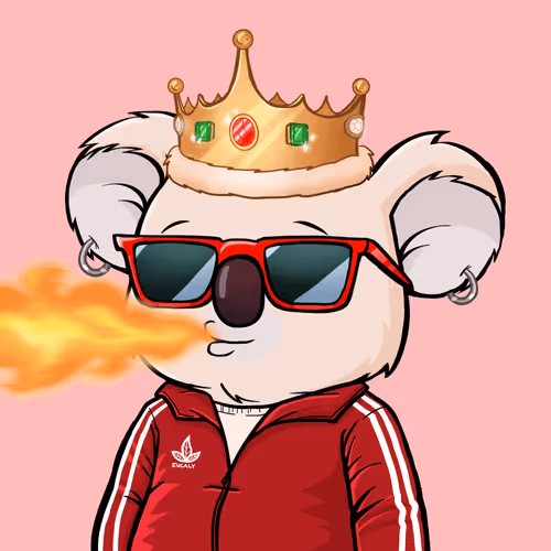 Koala Agent #3093