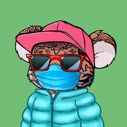 Koala Agent #6884