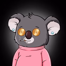 Koala Agent #3239