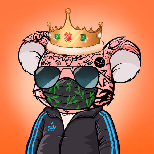 Koala Intelligence Agency