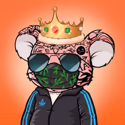 Koala Agent #1107