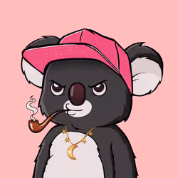Koala Agent #9152