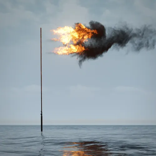 Flare (Oceania) 2022