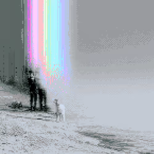 Shadows & Signals