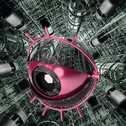 EyeStar #1778