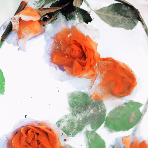 FLOWERS - ibSlosTcUG