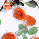 FLOWERS - ibSlosTcUG