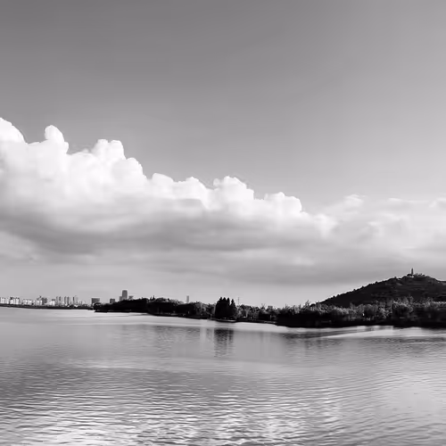 PhoenixDAO OG Passport