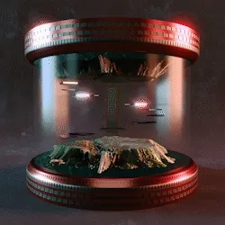 Quarkcapsules
