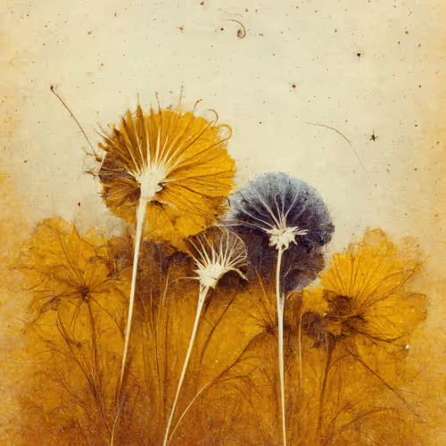 Dandelions V2