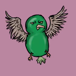 Shit Berbs #87