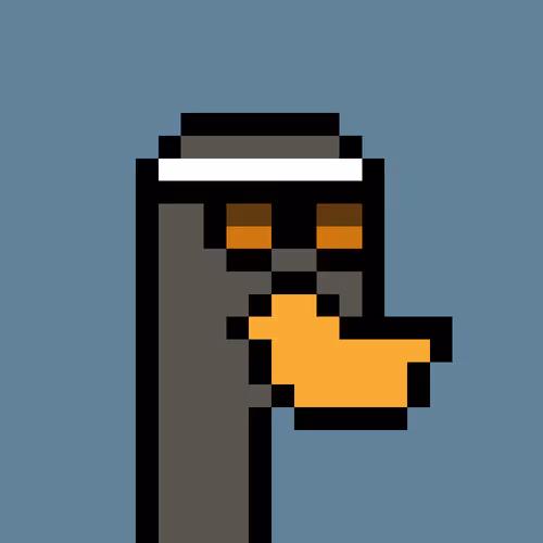 Duckpunkz