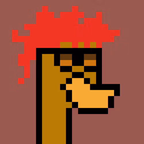 Duckpunkz