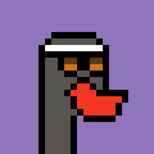 Duckpunkz
