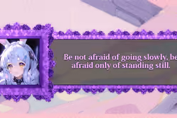8262