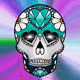 Sugar Skull #6753