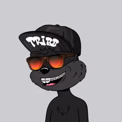 Tribe Quokka Kid #257
