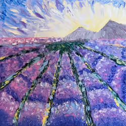 Lavender field at dawn