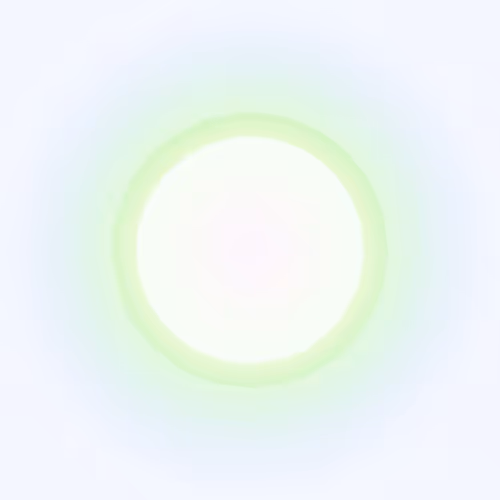 with the light 24