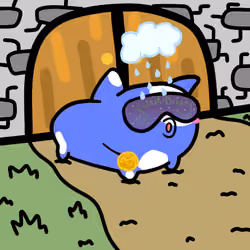 PillowCats #1772