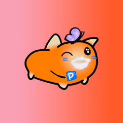 PillowCats #1622