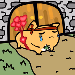 PillowCats #1126