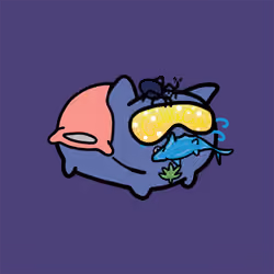 PillowCats #1714