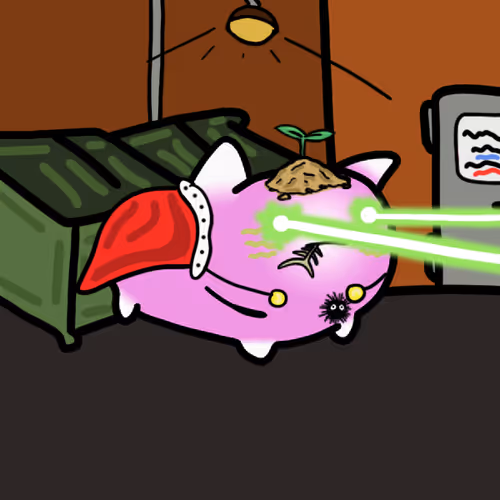 PillowCats #3182