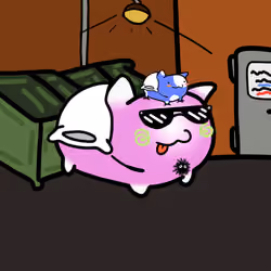 PillowCats #3222